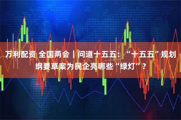 万利配资 全国两会｜问道十五五：“十五五”规划纲要草案为民企亮哪些“绿灯”？