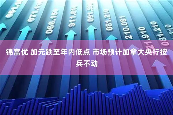 锦富优 加元跌至年内低点 市场预计加拿大央行按兵不动
