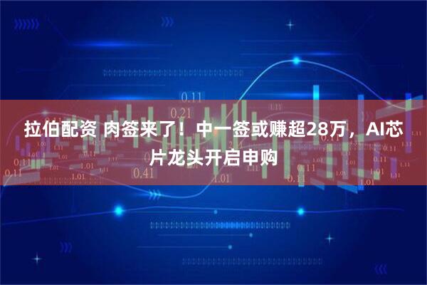 拉伯配资 肉签来了!中一签或赚超28万,AI芯片龙头开启申购